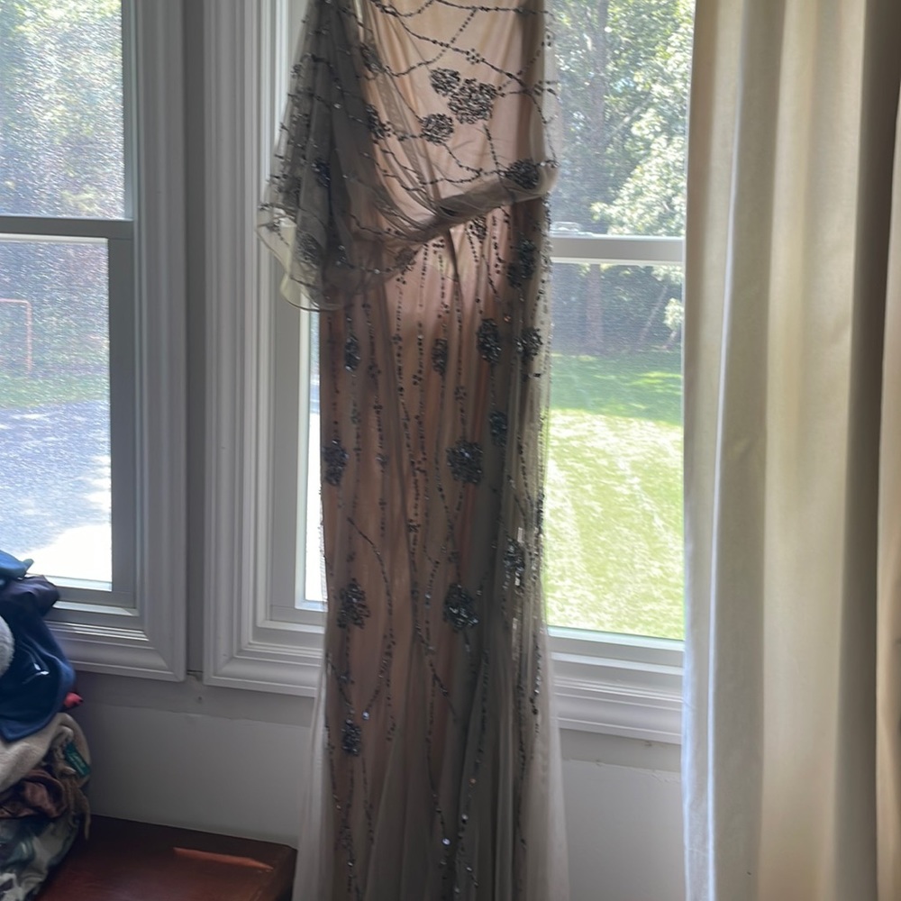 Adrianna Papell gown